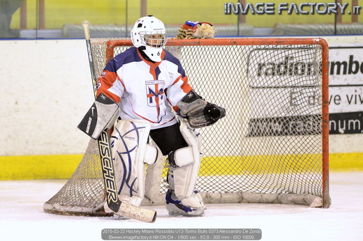 2015-02-22 Hockey Milano Rossoblu U12-Torino Bulls 0373 Alessandro De Zordo